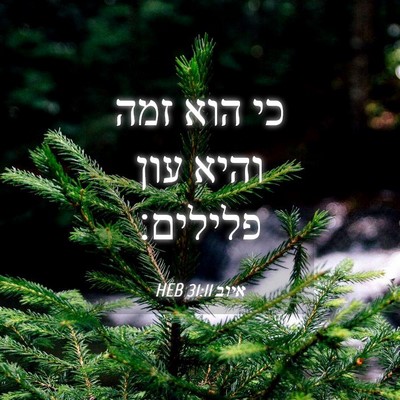 Picture 04 - איוב 31:11 HEB - כי הוא זמה והיא עון - Bible Verse Picture