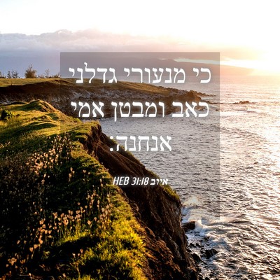Picture 04 - איוב 31:18 HEB - כי מנעורי גדלני כאב ומבטן - Bible Verse Picture