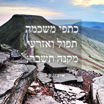 Picture 04 - איוב 31:22 HEB - כתפי משכמה תפול ואזרעי - Bible Verse Picture