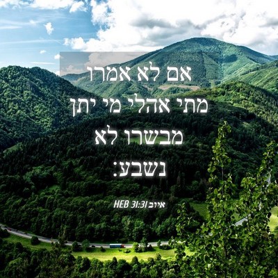 Picture 04 - איוב 31:31 HEB - אם לא אמרו מתי אהלי מי יתן - Bible Verse Picture