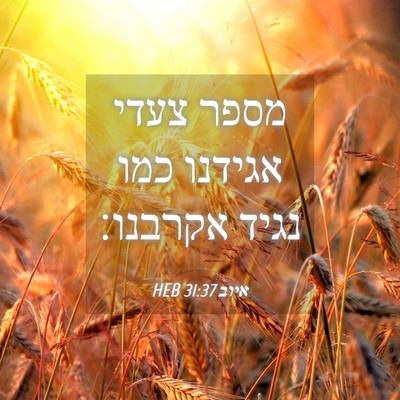 Picture 04 - איוב 31:37 HEB - מספר צעדי אגידנו כמו נגיד - Bible Verse Picture