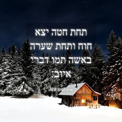 Picture 04 - איוב 31:40 HEB - תחת חטה יצא חוח ותחת שערה - Bible Verse Picture