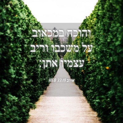 Picture 04 - איוב 33:19 HEB - והוכח במכאוב על משכבו וריב - Bible Verse Picture