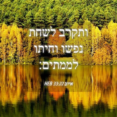 Picture 04 - איוב 33:22 HEB - ותקרב לשחת נפשו וחיתו - Bible Verse Picture