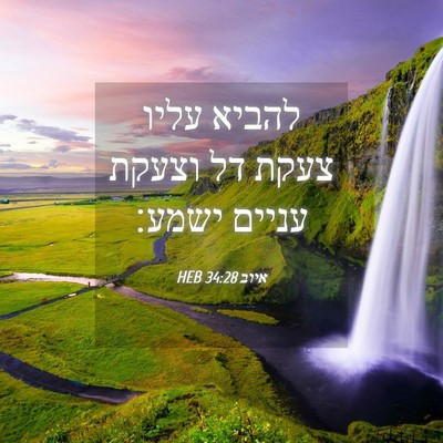 Picture 04 - איוב 34:28 HEB - להביא עליו צעקת דל וצעקת - Bible Verse Picture