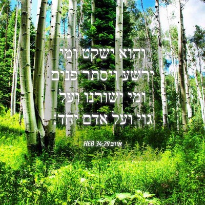 Picture 04 - איוב 34:29 HEB - והוא ישקט ומי ירשע ויסתר - Bible Verse Picture