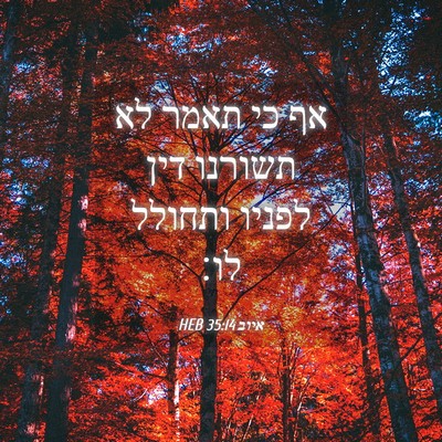 Picture 04 - איוב 35:14 HEB - אף כי תאמר לא תשורנו דין - Bible Verse Picture