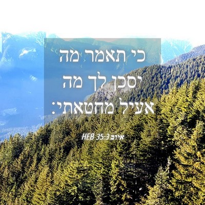 Picture 04 - איוב 35:3 HEB - כי תאמר מה יסכן לך מה אעיל - Bible Verse Picture