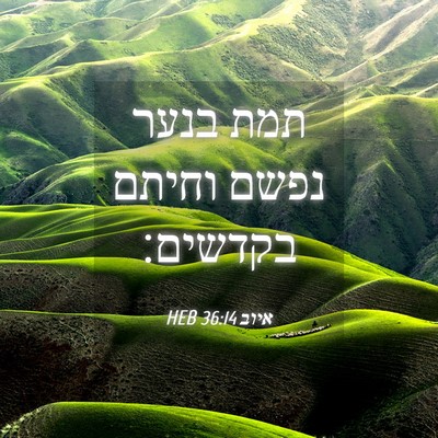 Picture 04 - איוב 36:14 HEB - תמת בנער נפשם וחיתם - Bible Verse Picture