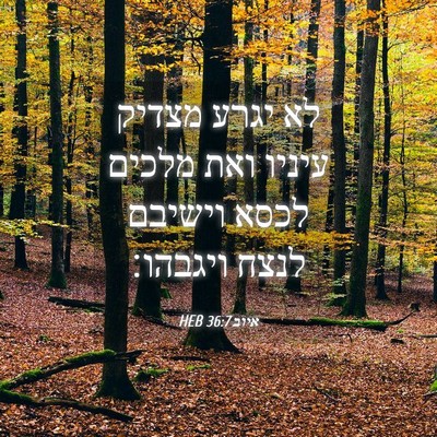 Picture 04 - איוב 36:7 HEB - לא יגרע מצדיק עיניו ואת - Bible Verse Picture