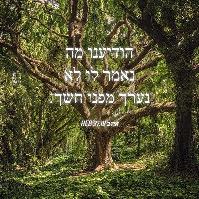 Picture 04 - איוב 37:19 HEB - הודיענו מה נאמר לו לא נערך - Bible Verse Picture