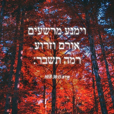 Picture 04 - איוב 38:15 HEB - וימנע מרשעים אורם וזרוע - Bible Verse Picture