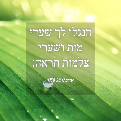 Picture 04 - איוב 38:17 HEB - הנגלו לך שערי מות ושערי - Bible Verse Picture