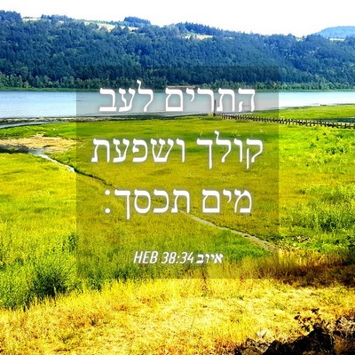Picture 04 - איוב 38:34 HEB - התרים לעב קולך ושפעת מים - Bible Verse Picture