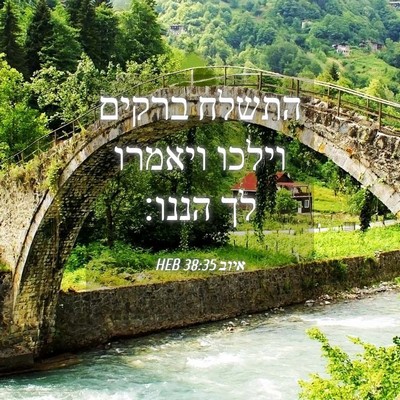 Picture 04 - איוב 38:35 HEB - התשלח ברקים וילכו ויאמרו - Bible Verse Picture