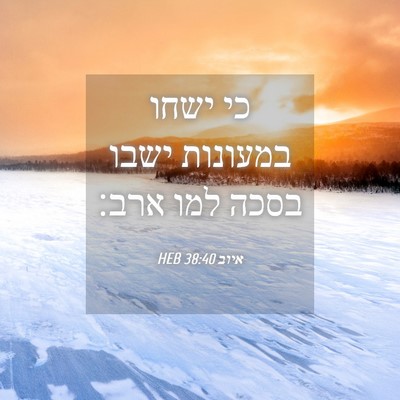 Picture 04 - איוב 38:40 HEB - כי ישחו במעונות ישבו בסכה - Bible Verse Picture