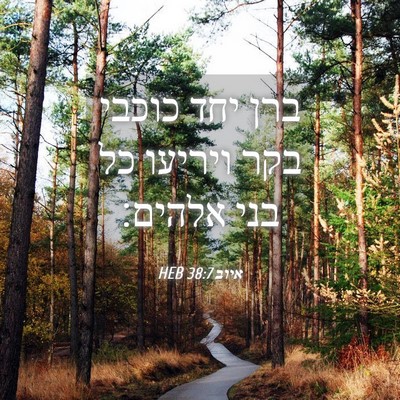 Picture 04 - איוב 38:7 HEB - ברן יחד כוכבי בקר ויריעו כל - Bible Verse Picture