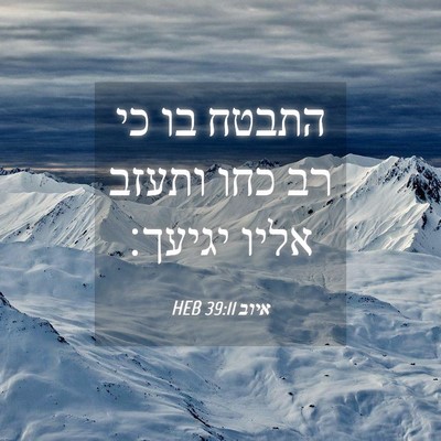 Picture 04 - איוב 39:11 HEB - התבטח בו כי רב כחו ותעזב - Bible Verse Picture