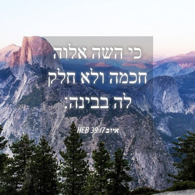 Picture 04 - איוב 39:17 HEB - כי השה אלוה חכמה ולא חלק לה - Bible Verse Picture