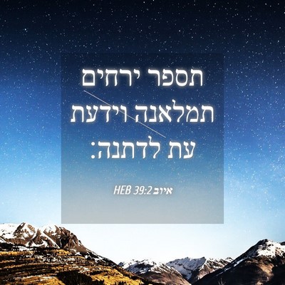 Picture 04 - איוב 39:2 HEB - תספר ירחים תמלאנה וידעת עת - Bible Verse Picture