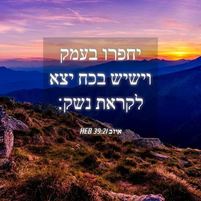 Picture 04 - איוב 39:21 HEB - יחפרו בעמק וישיש בכח יצא - Bible Verse Picture