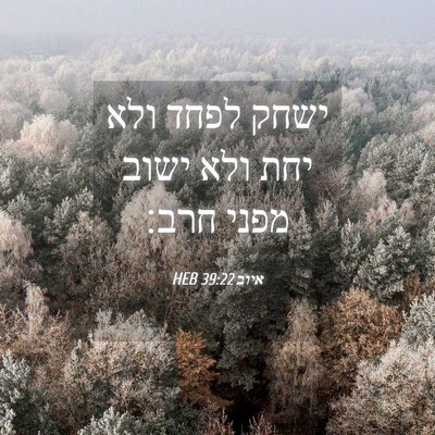 Picture 04 - איוב 39:22 HEB - ישחק לפחד ולא יחת ולא ישוב - Bible Verse Picture
