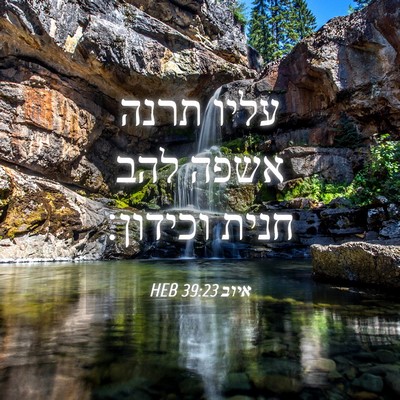 Picture 04 - איוב 39:23 HEB - עליו תרנה אשפה להב חנית - Bible Verse Picture