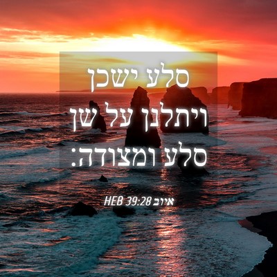 Picture 04 - איוב 39:28 HEB - סלע ישכן ויתלנן על שן סלע - Bible Verse Picture