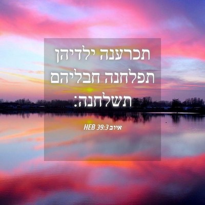 Picture 04 - איוב 39:3 HEB - תכרענה ילדיהן תפלחנה - Bible Verse Picture