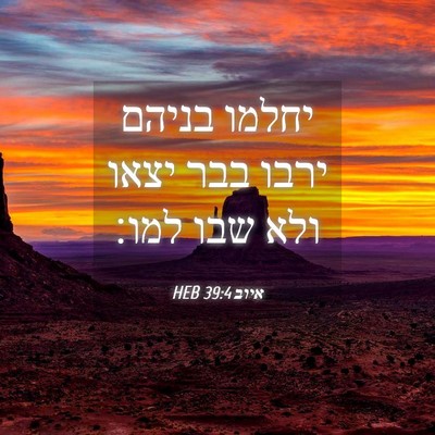 Picture 04 - איוב 39:4 HEB - יחלמו בניהם ירבו בבר יצאו - Bible Verse Picture