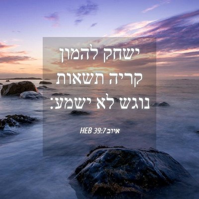 Picture 04 - איוב 39:7 HEB - ישחק להמון קריה תשאות נוגש - Bible Verse Picture