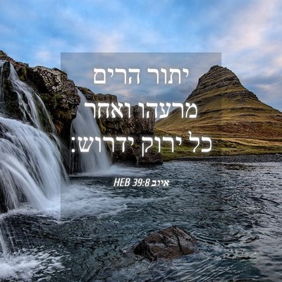 Picture 04 - איוב 39:8 HEB - יתור הרים מרעהו ואחר כל - Bible Verse Picture