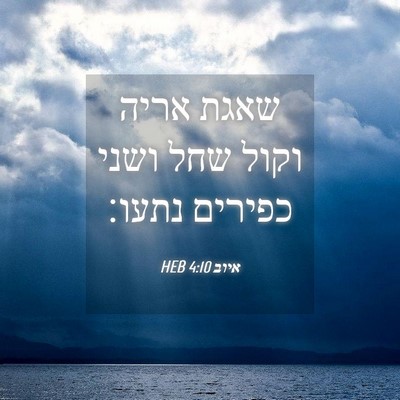 Picture 04 - איוב 4:10 HEB - שאגת אריה וקול שחל ושני - Bible Verse Picture