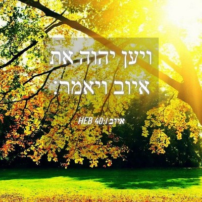 Picture 04 - איוב 40:1 HEB - ויען יהוה את איוב - Bible Verse Picture