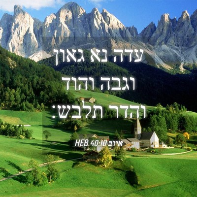Picture 04 - איוב 40:10 HEB - עדה נא גאון וגבה והוד והדר - Bible Verse Picture