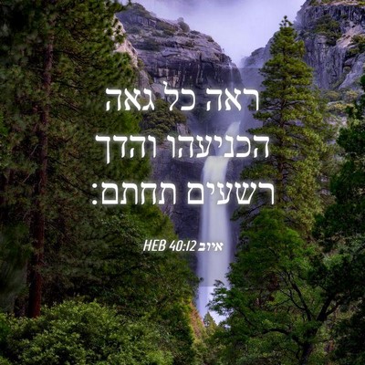 Picture 04 - איוב 40:12 HEB - ראה כל גאה הכניעהו והדך - Bible Verse Picture