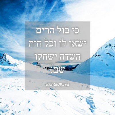Picture 04 - איוב 40:20 HEB - כי בול הרים ישאו לו וכל חית - Bible Verse Picture