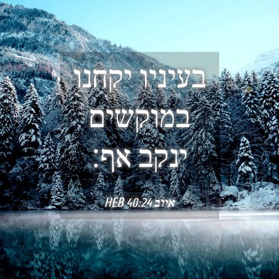 Picture 04 - איוב 40:24 HEB - בעיניו יקחנו במוקשים ינקב - Bible Verse Picture
