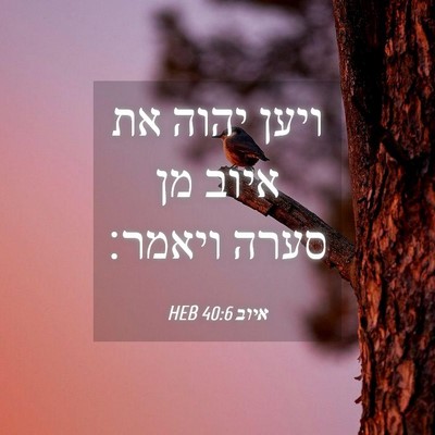 Picture 04 - איוב 40:6 HEB - ויען יהוה את איוב מן סערה - Bible Verse Picture