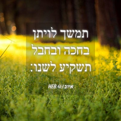 Picture 04 - איוב 41:1 HEB - תמשך לויתן בחכה ובחבל - Bible Verse Picture