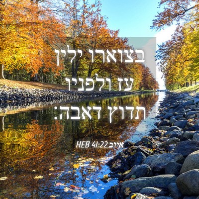 Picture 04 - איוב 41:22 HEB - בצוארו ילין עז ולפניו תדוץ - Bible Verse Picture