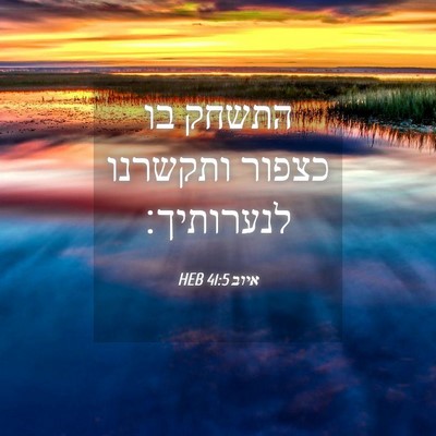 Picture 04 - איוב 41:5 HEB - התשחק בו כצפור ותקשרנו - Bible Verse Picture