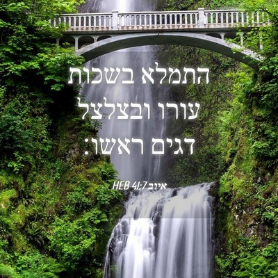 Picture 04 - איוב 41:7 HEB - התמלא בשכות עורו ובצלצל - Bible Verse Picture