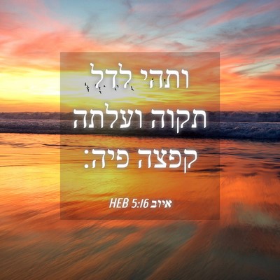 Picture 04 - איוב 5:16 HEB - ותהי לדל תקוה ועלתה קפצה - Bible Verse Picture