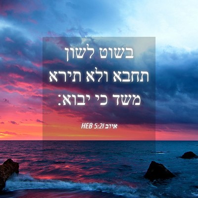 Picture 04 - איוב 5:21 HEB - בשוט לשון תחבא ולא תירא משד - Bible Verse Picture
