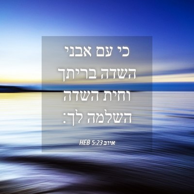 Picture 04 - איוב 5:23 HEB - כי עם אבני השדה בריתך וחית - Bible Verse Picture