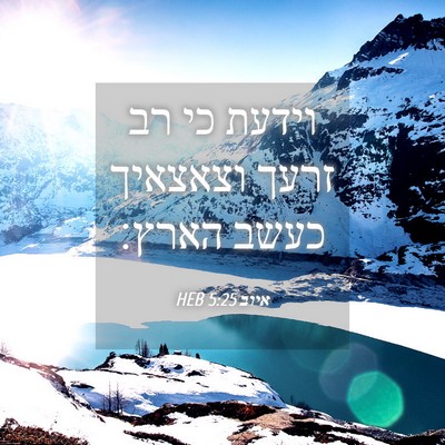 Picture 04 - איוב 5:25 HEB - וידעת כי רב זרעך וצאצאיך - Bible Verse Picture