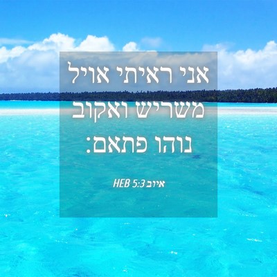Picture 04 - איוב 5:3 HEB - אני ראיתי אויל משריש ואקוב - Bible Verse Picture
