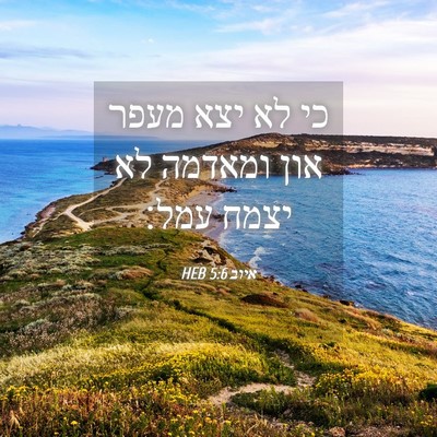 Picture 04 - איוב 5:6 HEB - כי לא יצא מעפר און ומאדמה - Bible Verse Picture