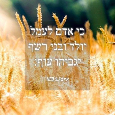Picture 04 - איוב 5:7 HEB - כי אדם לעמל יולד ובני רשף - Bible Verse Picture